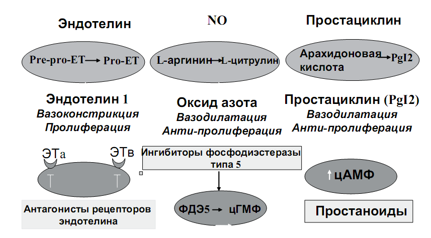 Как лечить лишай у детей народные методы